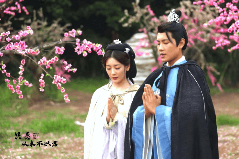 微短剧《只愿从来不识君》(俄语地区许可)